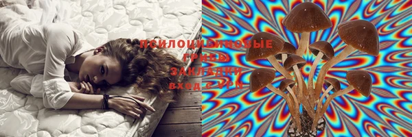 дживик Абинск