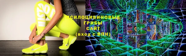 дживик Абинск