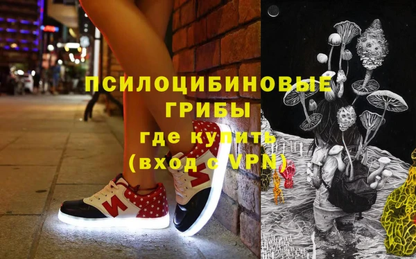 дживик Абинск