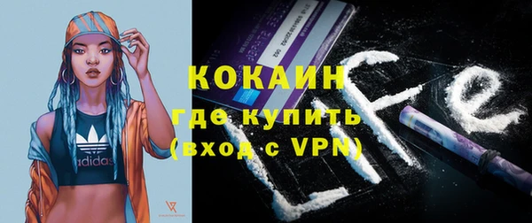 дживик Абинск